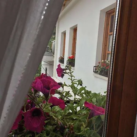 Bineri Hotell
